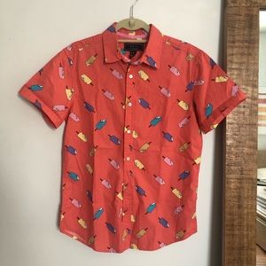 Popsicle button down